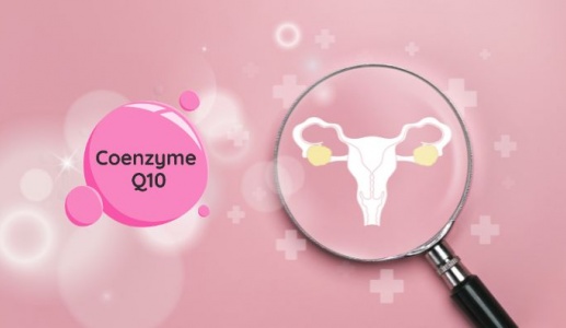 Lý do các cặp đôi hiếm muộn nên bổ sung Coenzyme Q10 