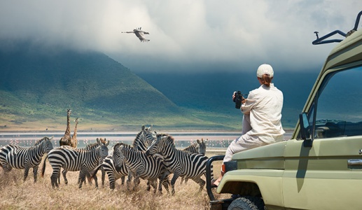 Chọn du lịch hoang dã có trách nhiệm để bảo tồn sinh thái