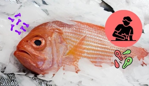 Độc tố ẩn mình trong các loài cá biển