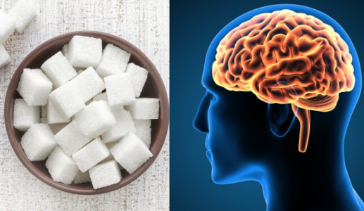 Não bộ thay đổi ra sao sau 1 tháng không ăn đường bổ sung?