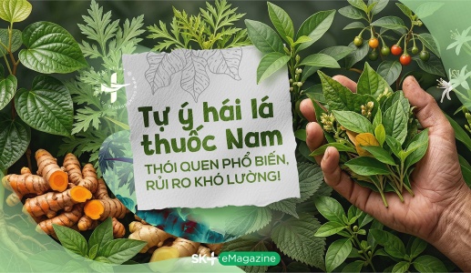 Tự ý hái lá thuốc Nam: Thói quen phổ biến, rủi ro khó lường!