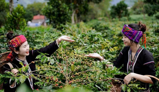 Du lịch Quảng Trị ngoài những điểm đến quen thuộc! (P2)