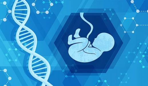 Khi y học bào thai viết tiếp sự sống