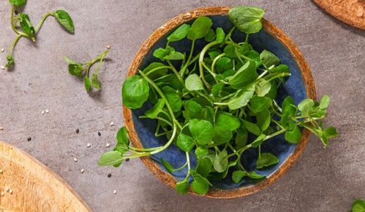 Loại rau được ca ngợi “tốt nhất thế giới”, bán đầy ở chợ Việt