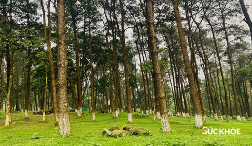 Điểm đến “tránh nóng” cho kỳ nghỉ ngắn ngày tại Hà Nội