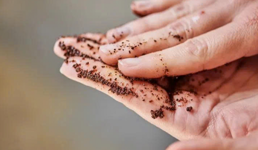 4 mẹo tận dụng bã cà phê dễ áp dụng