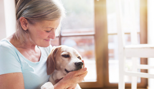 Nuôi chó, mèo - Hơn cả sự bầu bạn!