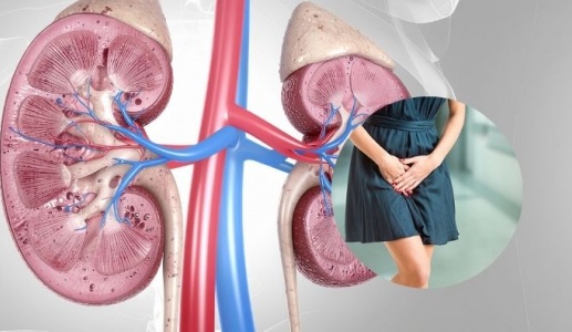 Thói quen chị em nên bỏ để bảo vệ đường tiết niệu