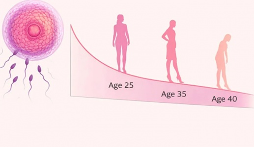 Cơ hội mang thai thay đổi thế nào theo từng độ tuổi?