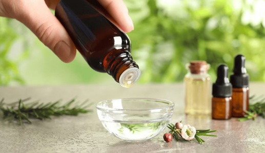 Chăm sóc tóc mùa Hè với tinh dầu tràm trà