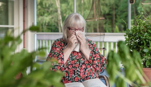 Mách bạn 6 cách giảm triệu chứng dị ứng phấn hoa