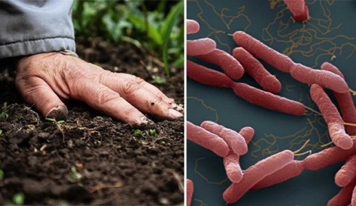 Căn bệnh khiến 23 người tử vong ở Thái Lan, Bộ Y tế ra khuyến cáo khẩn