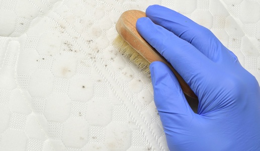 Cách xử lý quần áo ố vàng và nấm mốc