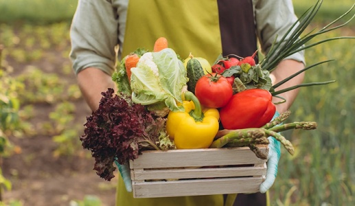 Thực phẩm hữu cơ không đồng nghĩa với an toàn thực phẩm tuyệt đối