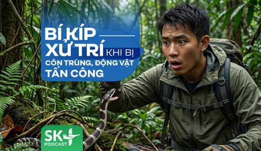 Podcast: Bí kíp xử trí khi bị côn trùng, động vật tấn công