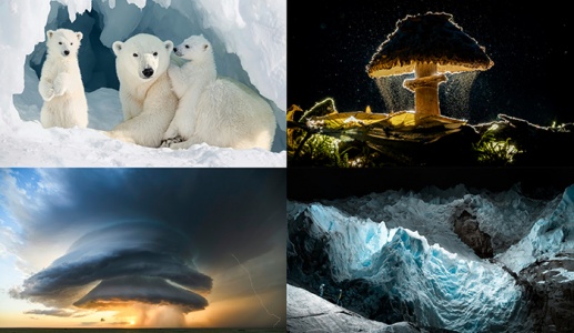 Những bức ảnh ấn tượng nhất Giải thưởng Nhiếp ảnh Sony năm 2026