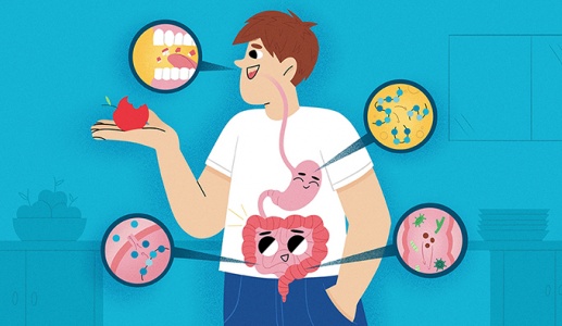 Vì sao hệ tiêu hóa 'chào thua' trước hạt ngô, nấm kim châm?