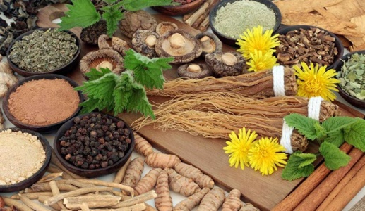 Thảo dược adaptogen hỗ trợ cơ thể ứng phó với căng thẳng