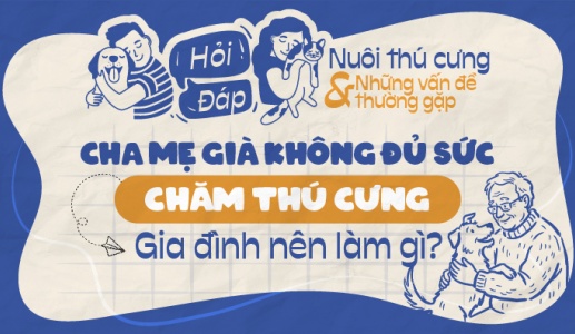 Cha mẹ già không đủ sức chăm thú cưng, gia đình nên làm gì?