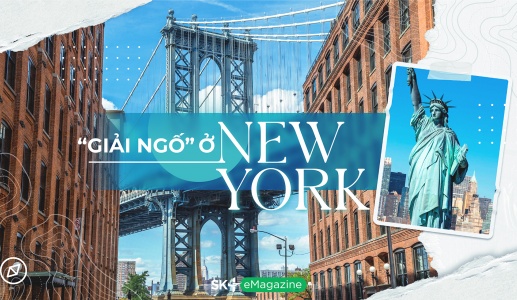 “Giải ngố” ở New York