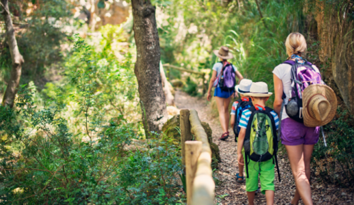 Khám phá 5 lợi ích vượt trội của bộ môn hiking 
