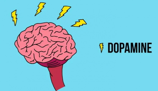 Dopamine giúp đảo ngược tình trạng Alzheimer?