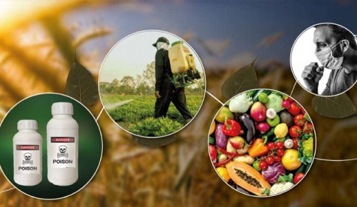 Thuốc trừ sâu có thể gây ra những ảnh hưởng gì tới sức khỏe?