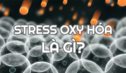 6 yếu tố làm gia tăng stress oxy hóa, tình trạng viêm trong cơ thể 