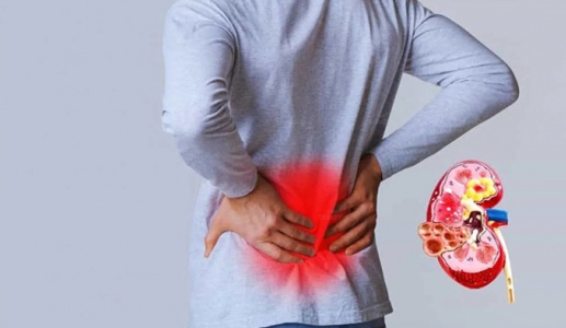 Thận yếu: Làm sao để bảo vệ chức năng thận? 