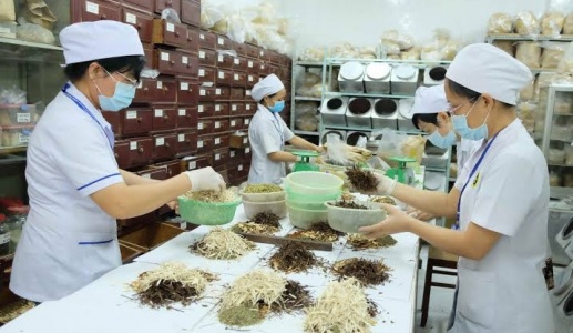Xây dựng thương hiệu quốc gia cho Y học cổ truyền Việt Nam