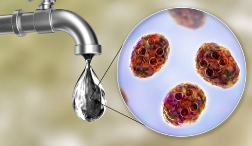 Biến đổi khí hậu và mối họa từ nguồn nước