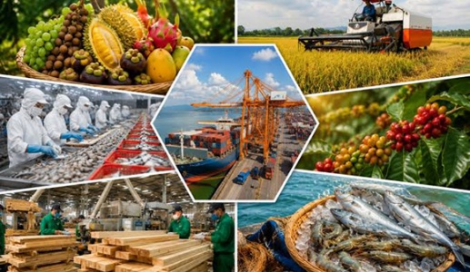 Bộ Y tế hướng dẫn kiểm tra nhà nước về an toàn thực phẩm nhập khẩu