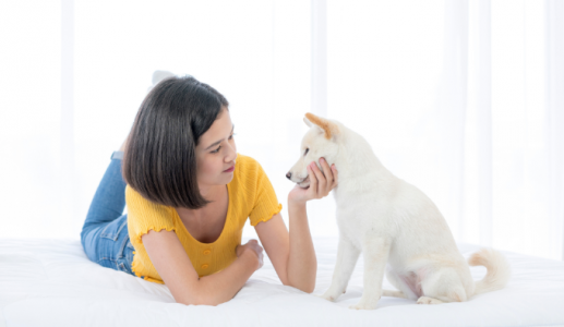 Trò chuyện với thú cưng có phải là một hành vi kỳ quặc?