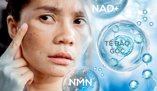 Nguy cơ từ làm đẹp bằng NMN, NAD+ và tế bào gốc