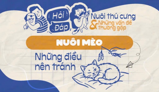 Những hành động nào có thể gây hại cho mèo?