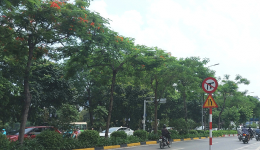 Vừa qua Lập Thu, nền nhiệt miền Bắc đã tăng nhẹ