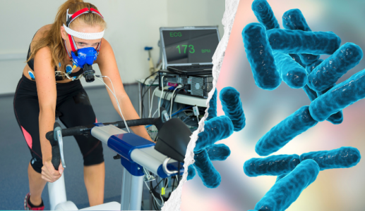 Men vi sinh có thể giúp tăng VO2 max, cải thiện sức bền