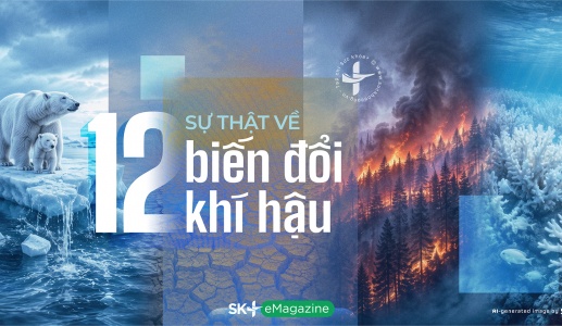 12 sự thật về biến đổi khí hậu