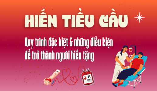 Hiến tiểu cầu: Quy trình đặc biệt và điều kiện để trở thành người hiến tặng