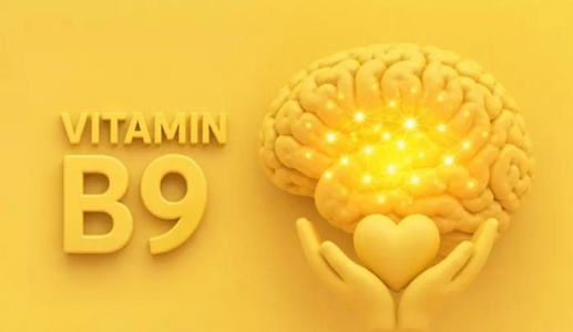 Mệt mỏi, hay quên có phải thiếu hụt vitamin B9?