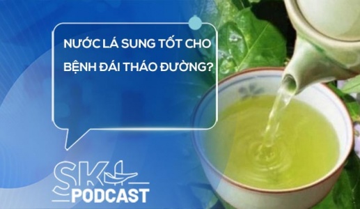 Podcast: Thật hư thông tin nước lá sung tốt cho bệnh đái tháo đường