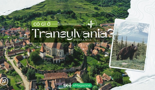Có gì ở Transylvania?