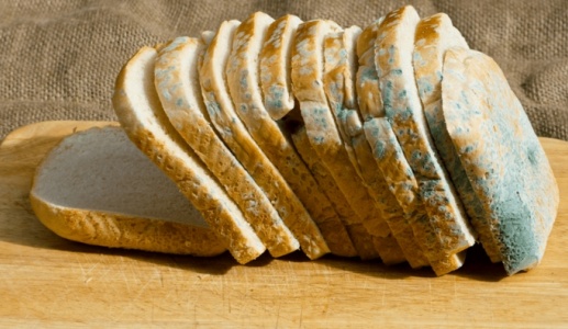Mẹo bảo quản bánh mì không lo mốc