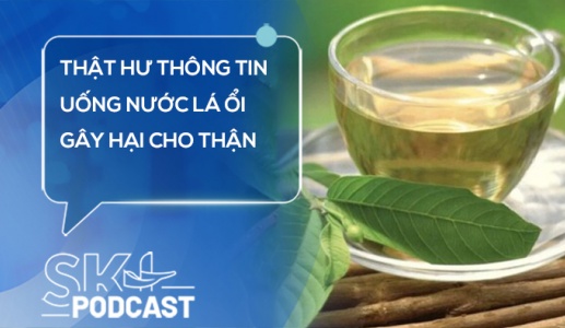 Podcast: Thật hư thông tin uống nước lá ổi gây hại cho thận