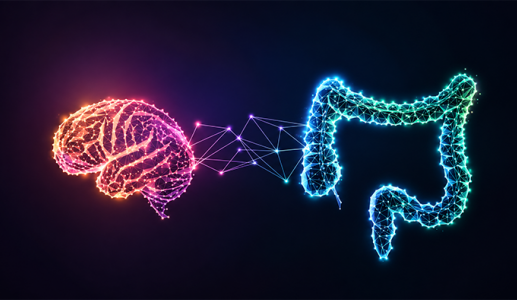 Vi khuẩn đường ruột có liên quan đến nguy cơ Alzheimer? 