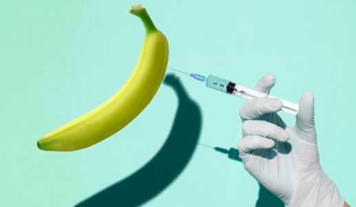 Testosterone có làm tăng kích thước “cậu nhỏ”? 