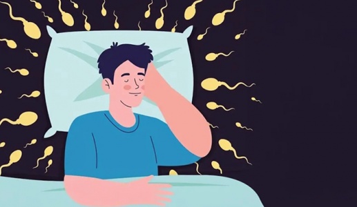 Mộng tinh có làm giảm số lượng tinh binh?