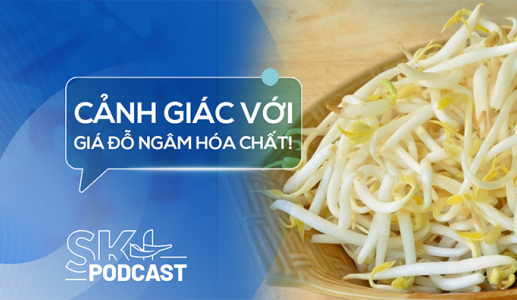 Podcast: Giá đỗ ngâm hóa chất nguy hiểm thế nào?