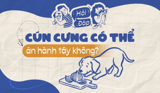 Cún cưng có thể ăn được hành tây không?