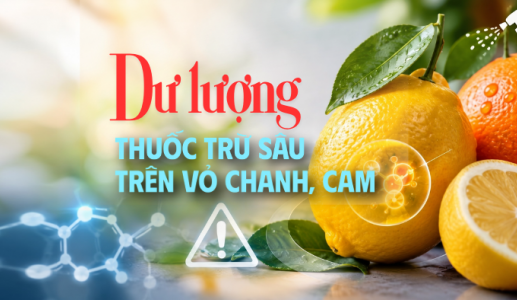 Nguy cơ từ dư lượng thuốc trừ sâu trên vỏ chanh, cam